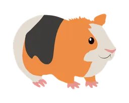 Guinea Pig Store