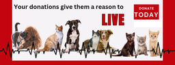 Animal Rescue - Be Their Voice, Wear Your Heart.