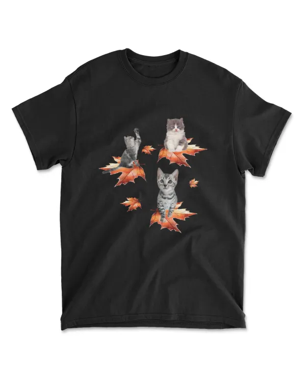 Cat On Maple Leaves - Funny Three Cats A