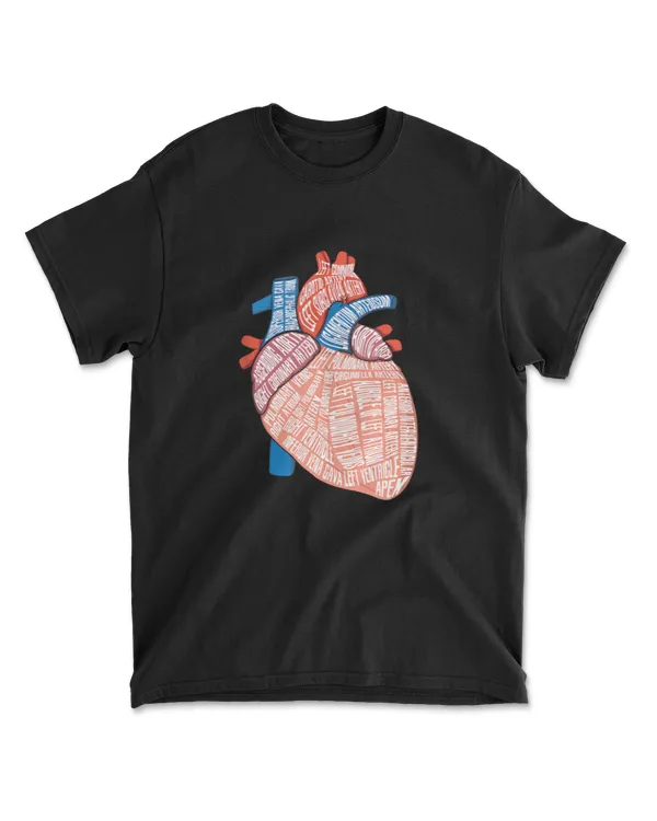 Cardiac Nurse Practitioner - Heart Anatomy T