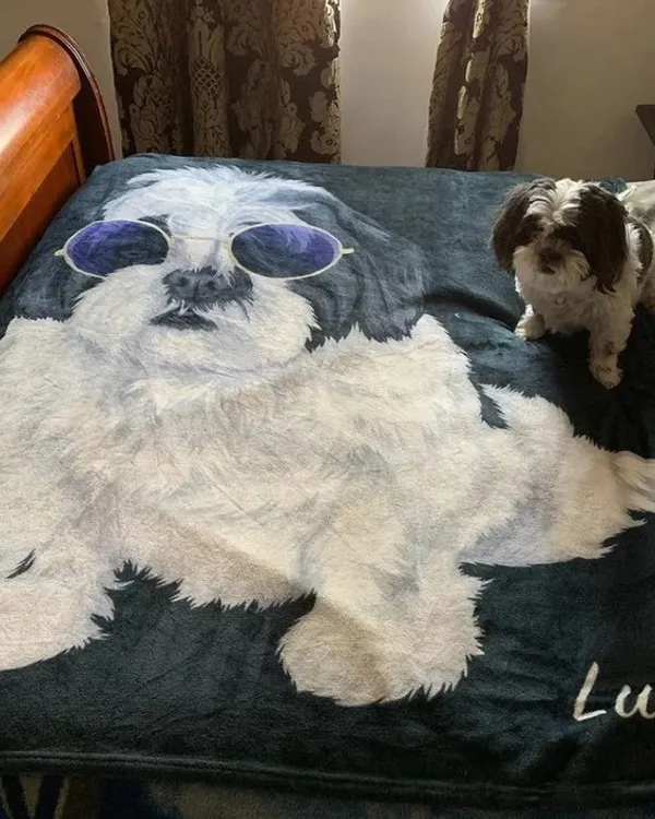 Cozy Plush Fleece Blanket