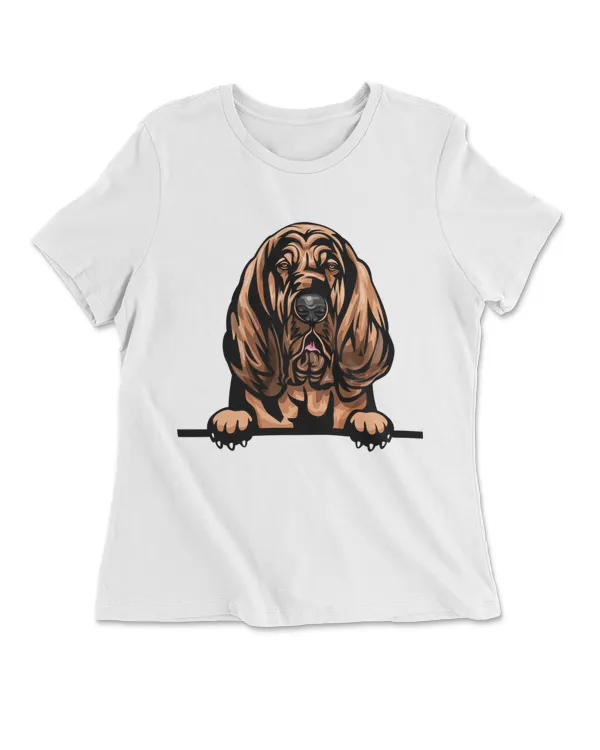 Animal Dog Bloodhound