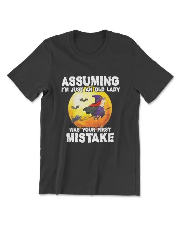 Assuming I'm Just An Old Lady Was Your First Mistake - Witch T-Shirt