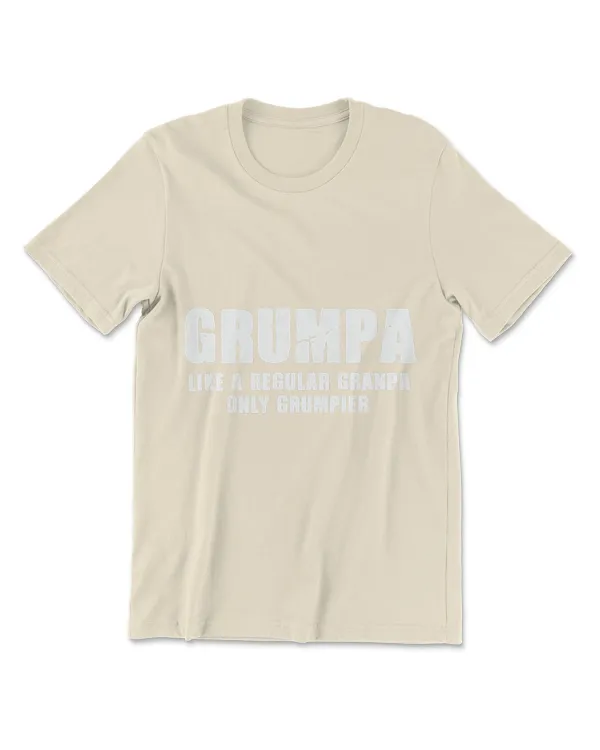 Men's Premium Tshirt