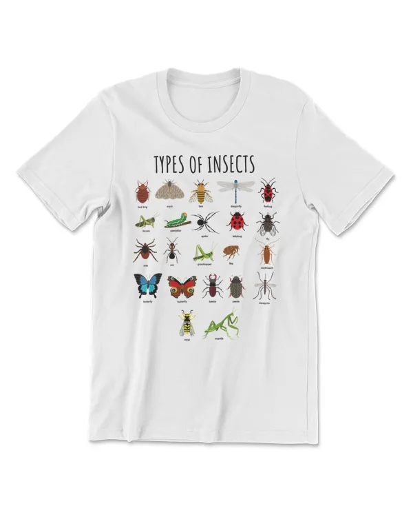 Types Of Insects Bug Identification Science