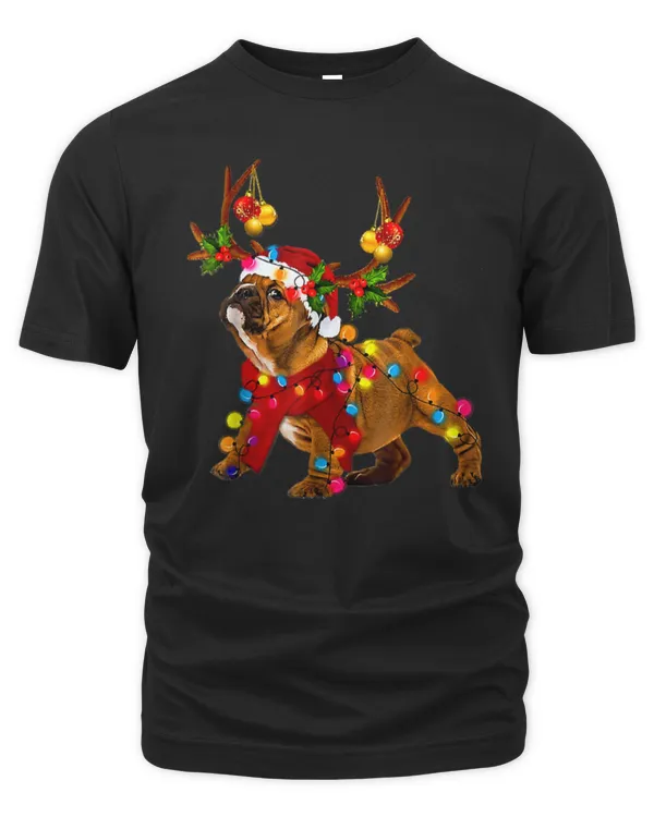 Dog Santa bulldog gorgeous reindeer Light Christmas171 paws