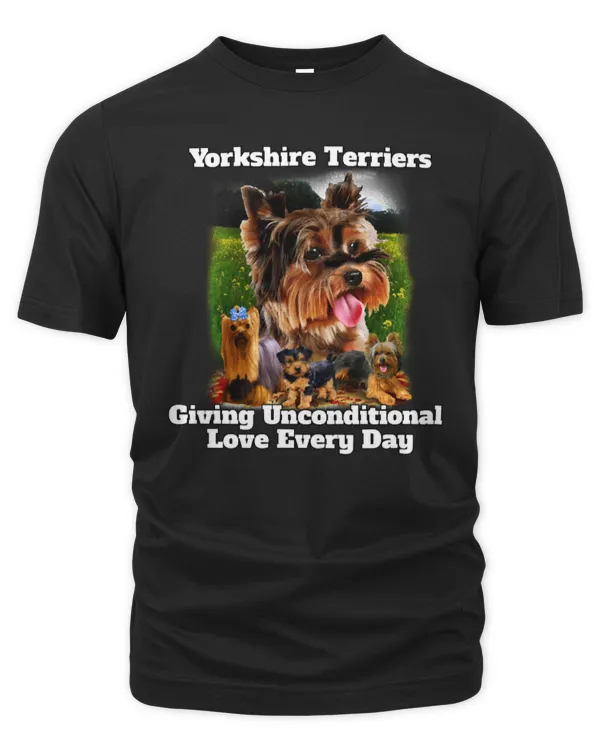 Dog Yorkshire Terriers Unconditional Love Cute Yorkshire Terrier 483 paws
