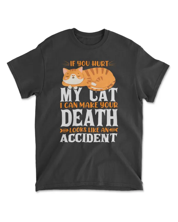 If you hurt my cat i can make your death looks like an accident