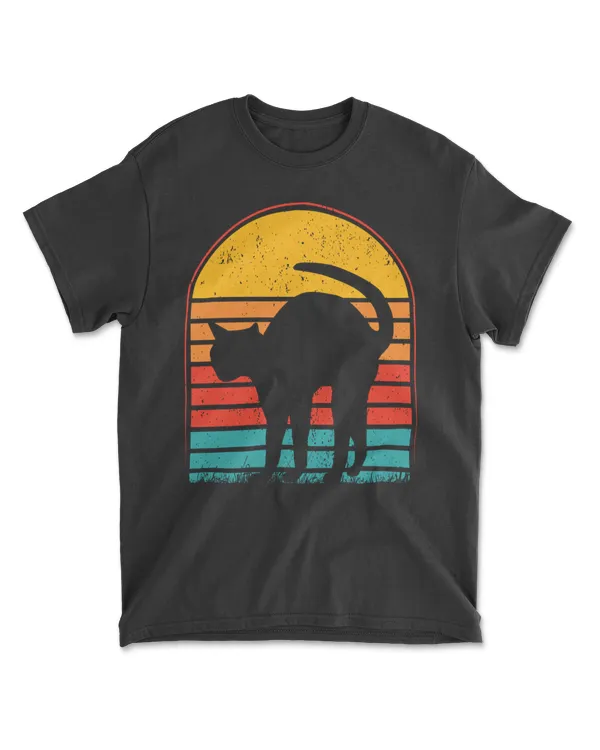 Cat Sunset Colorful Background for T-Shirt 4