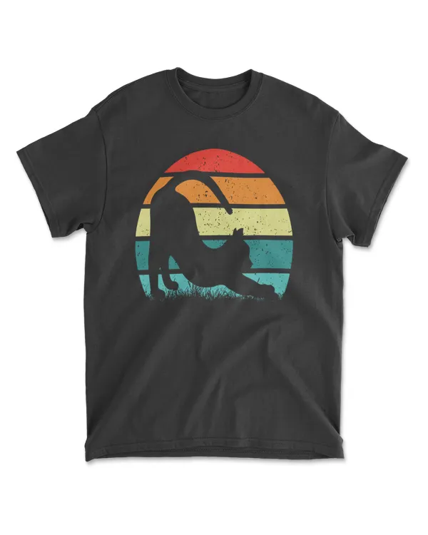 Cat Sunset Colorful Background for T-Shirt 13