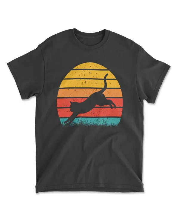Cat Sunset Colorful Background for T-Shirt 14