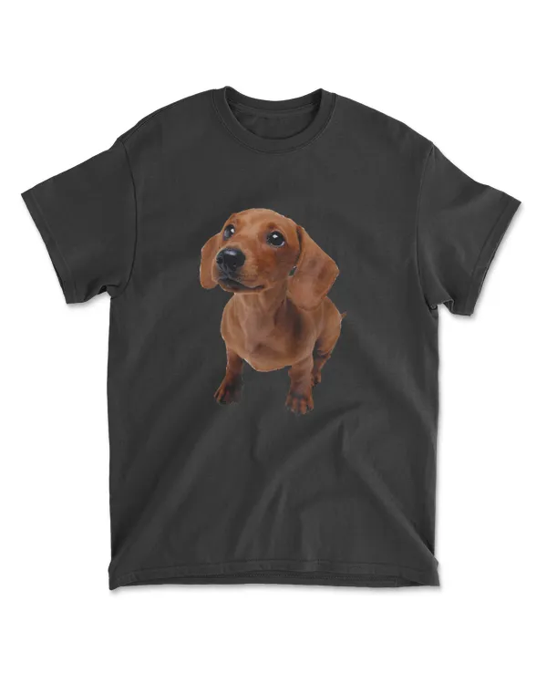 Adorable Cute Brown Furry Dachshund Dog T-Shirt