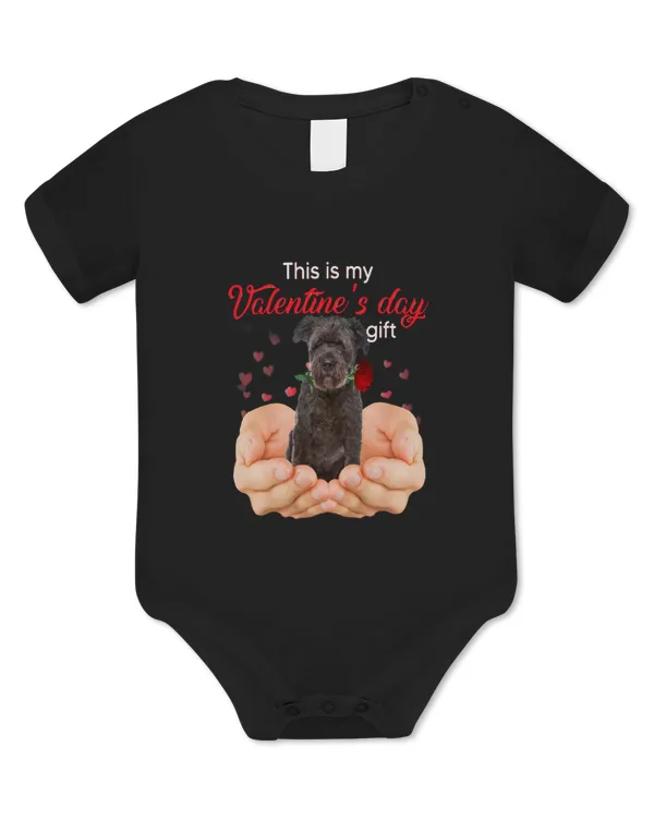 Baby Bodysuit - EU