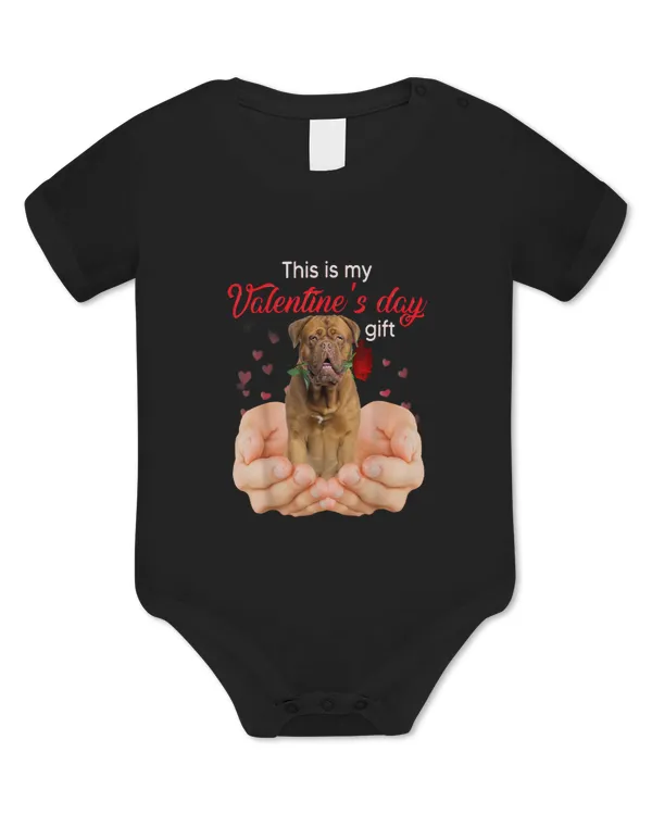 Baby Bodysuit - EU