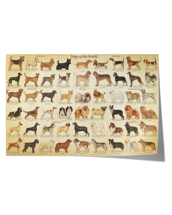 Medium Dog Breed List Poster, Type Of Dogs Poster