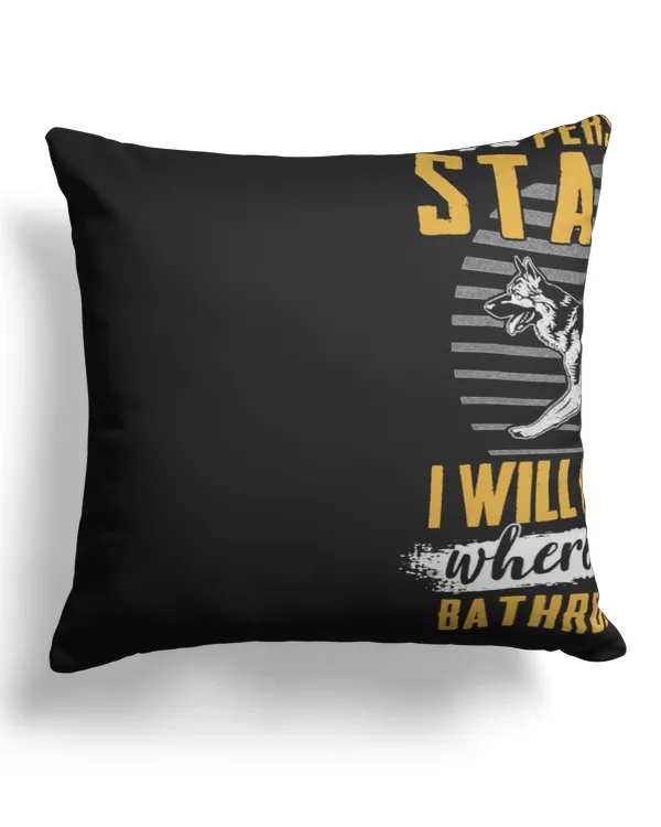 Canvas Pillow (Dual Sided)