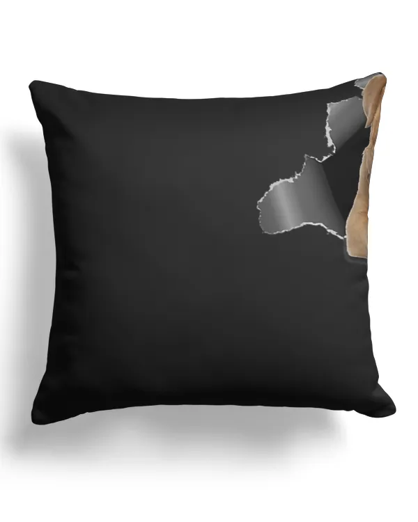 Canvas Pillow (Dual Sided)