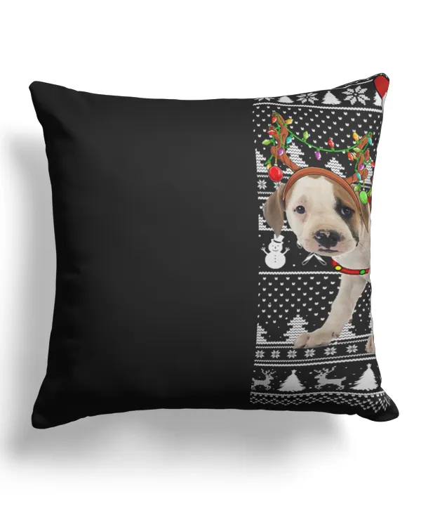 Canvas Pillow (Dual Sided)