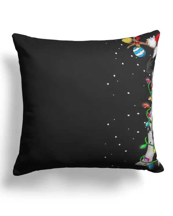 Canvas Pillow (Dual Sided)