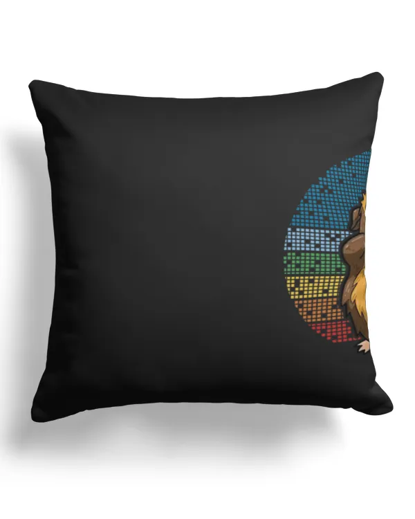 Canvas Pillow (Dual Sided)