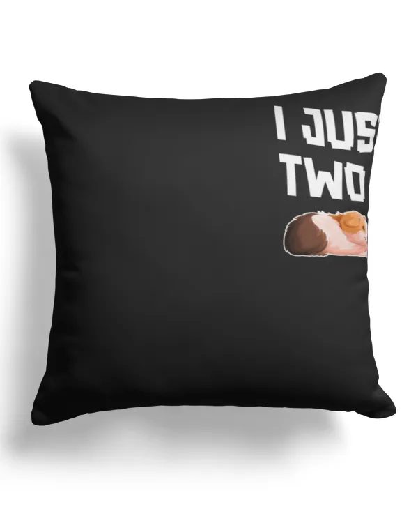 Canvas Pillow (Dual Sided)