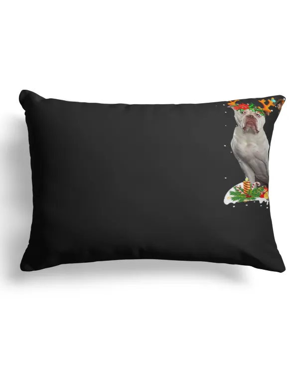 Canvas Pillow (Dual Sided) 13x19"