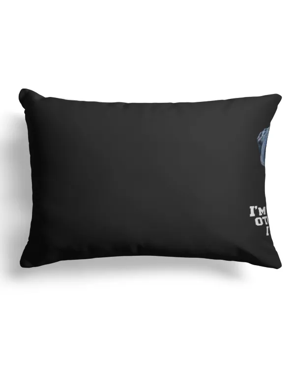 Canvas Pillow (Dual Sided) 13x19"