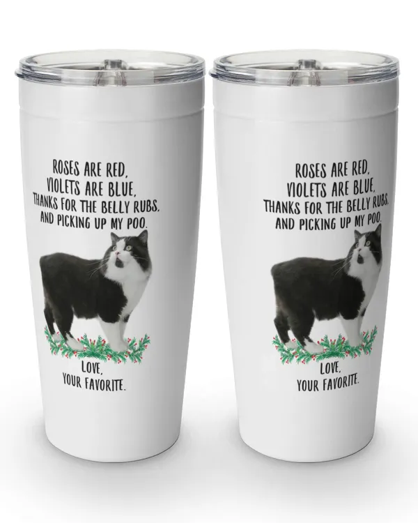 Viking Tumbler (20oz)