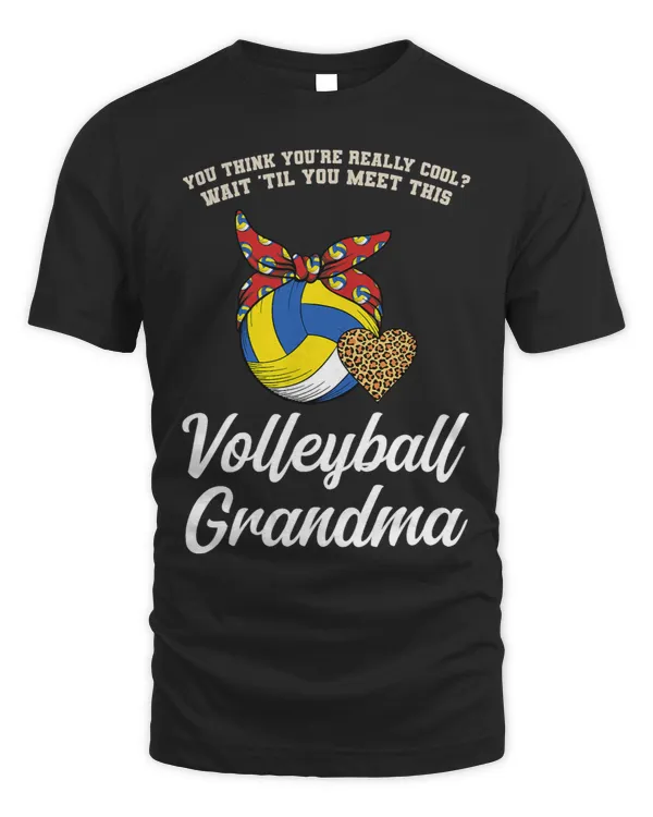 Womens waittil you meet this volleyball grandma grandmother 1