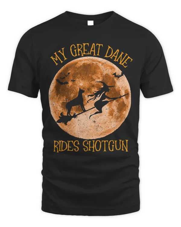 Funny Great Dane Ride Shotgun Broom Moon Witch Halloween