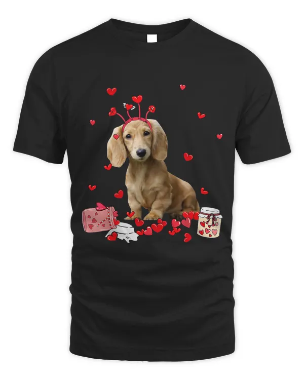 White Long Haired Dachshund With Heart Shape Valentine