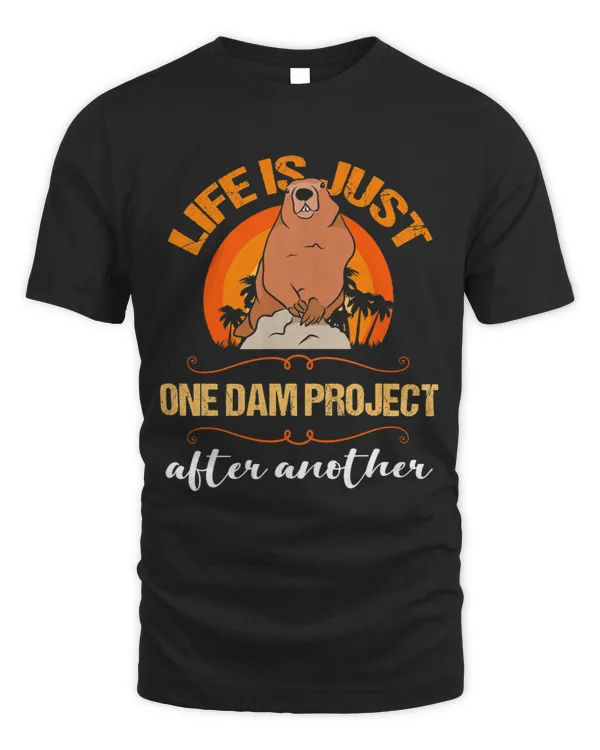 One dam Project after another busy Beaver lover
