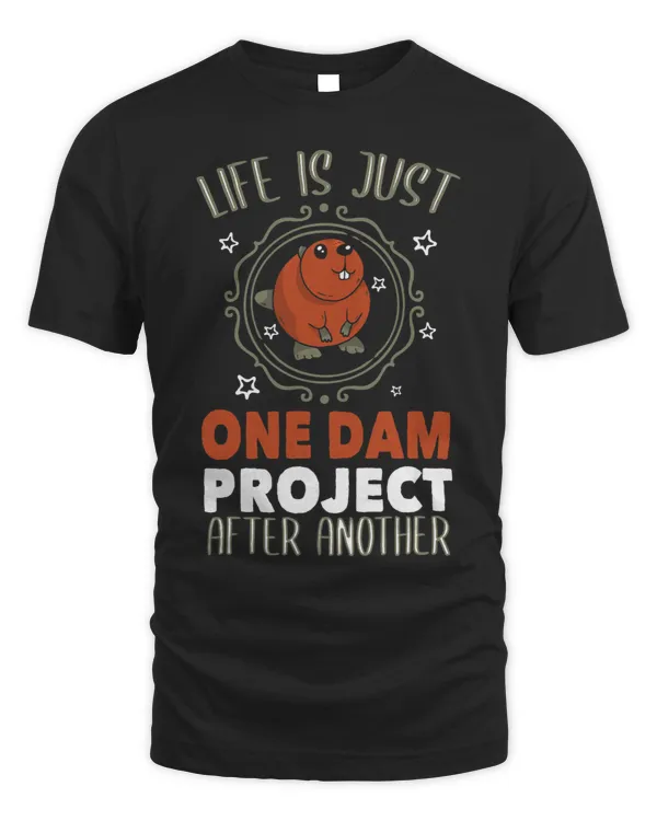 One dam Project after another cute Beaver