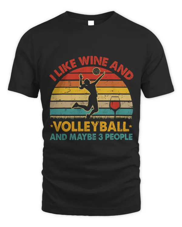 Vintage Retro I Like Wine And Volleyball And Maybe 3 People