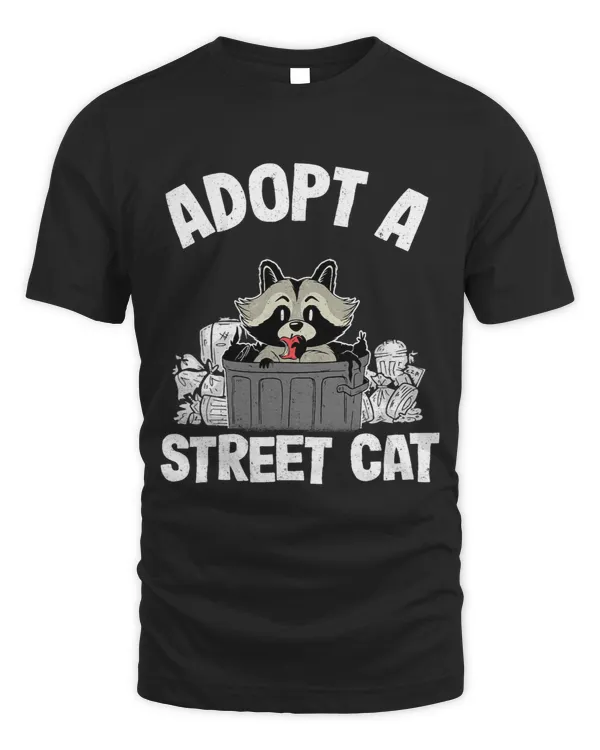 Adopt A Street Cat Raccoon4