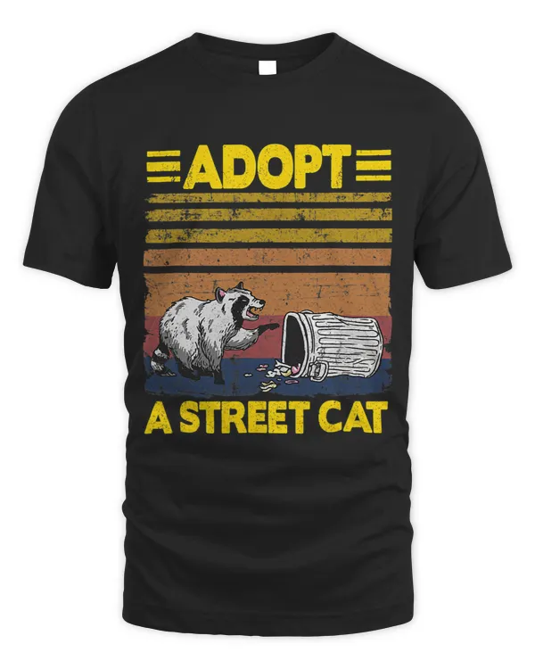 Adopt A Street Cat Raccoon62 12