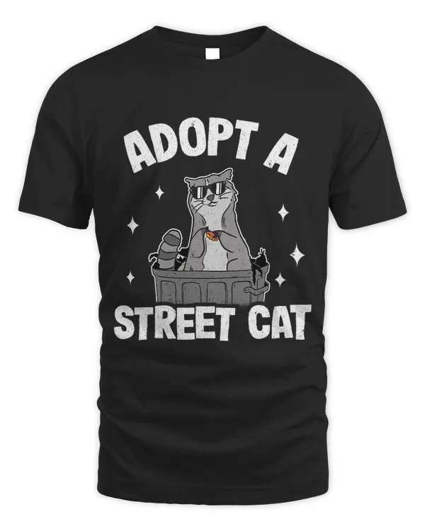 Adopt A Street Cat Raccoon639