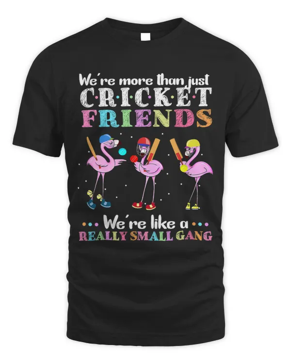 Were more than just Cricket Friends Fun Cricket Lover Club 2