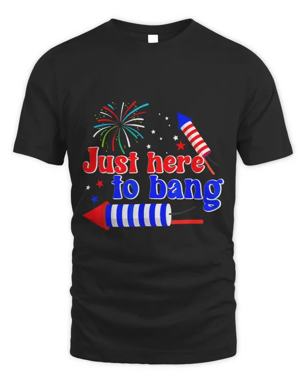 Funny 4th Of July Fireworks Just Here To Bang American Flag