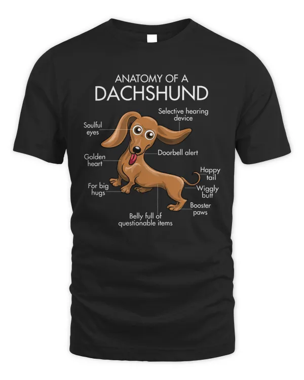 Anatomy Of A Dachshund