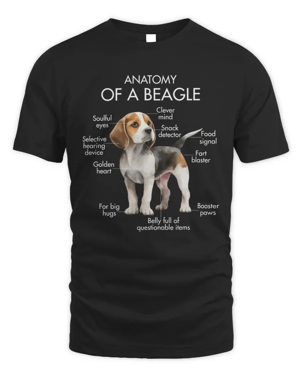 Anatomy Of A Beagle