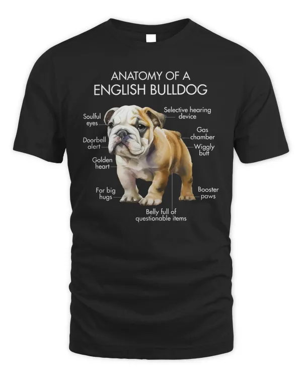 Anatomy Of A English Bulldog
