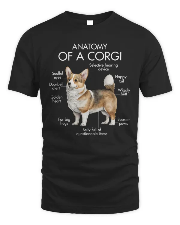 Anatomy Of A Corgi