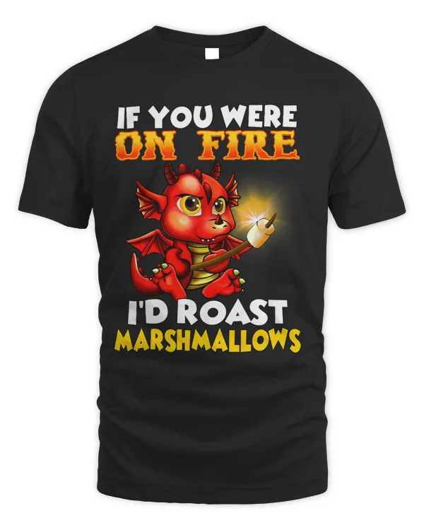 Dragon Animals Lovers Gift If You Were On Fire Womens Mens