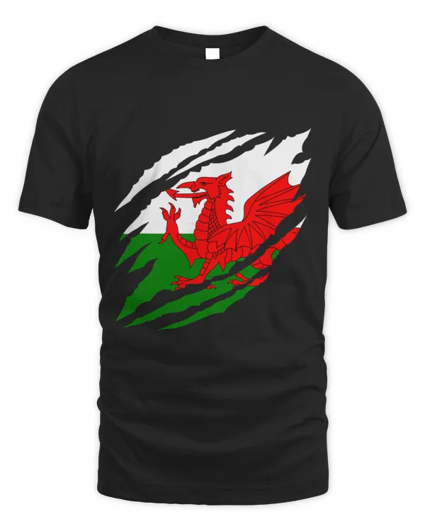 Dragon Animals Wales Rugby Dragon Claw Welsh Rugby Fan St Davids