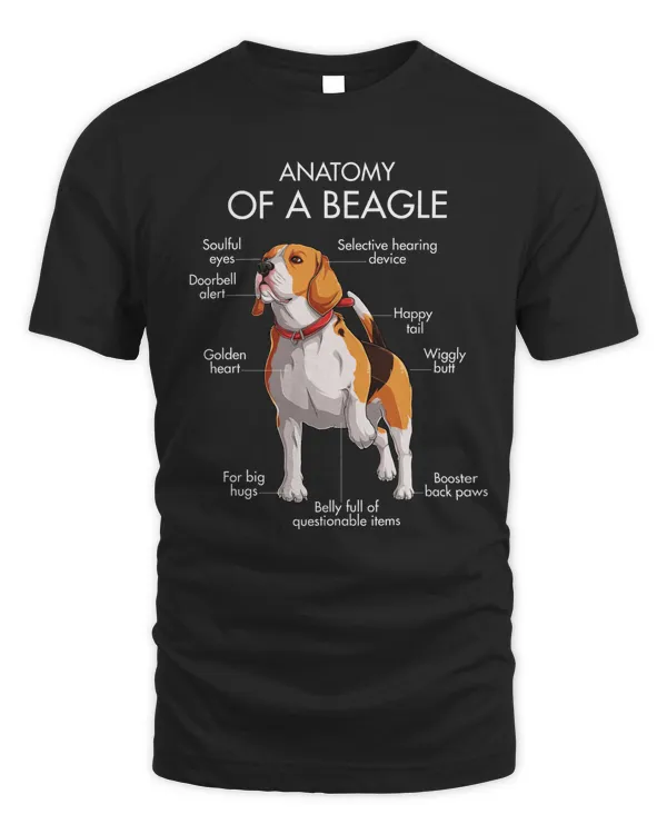 Anatomy Of A Beagle