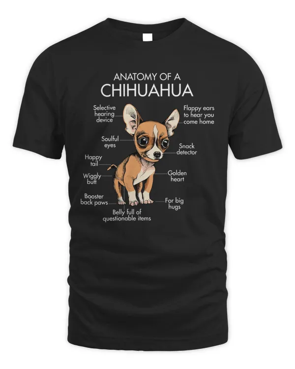 Anatomy Of A Chihuahua