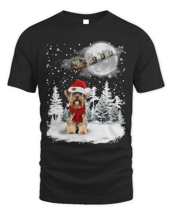 Yorkshire Terrier On Snow Christmas Moon Lighting Santa Hat15