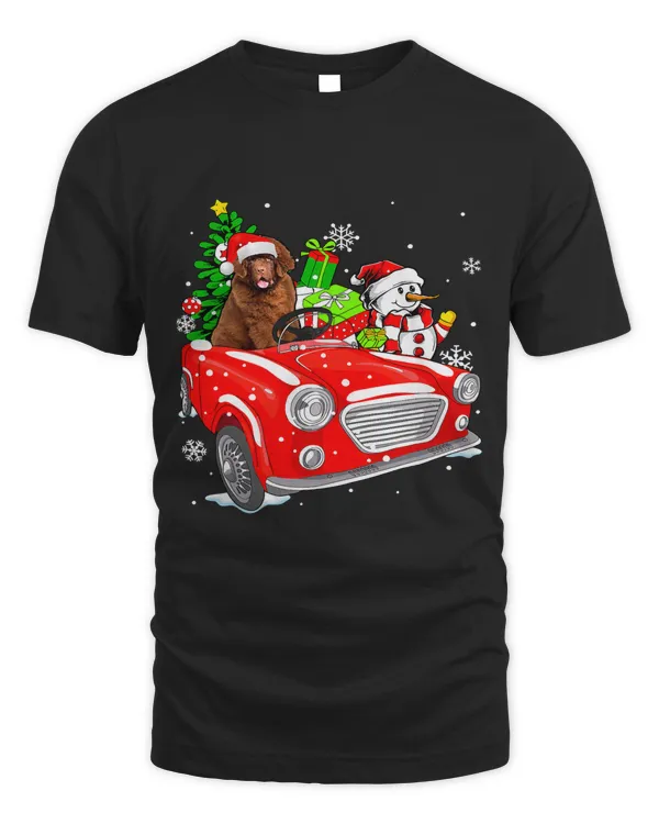 Funny Newfoundland Dog Santa Hat Red Car Christmas377