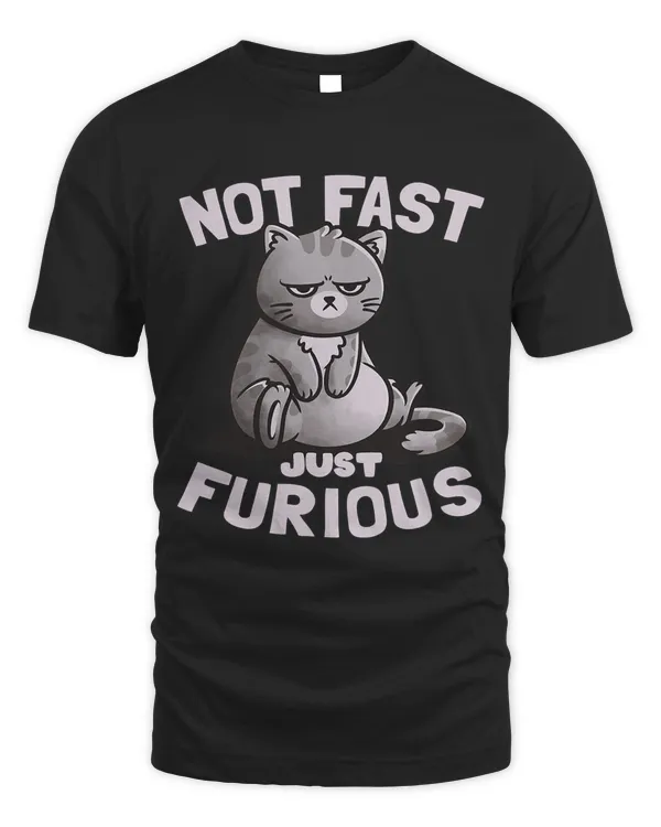 Cat Not Fast Just Furious Funny Movie Parody Grumpy Kitten640
